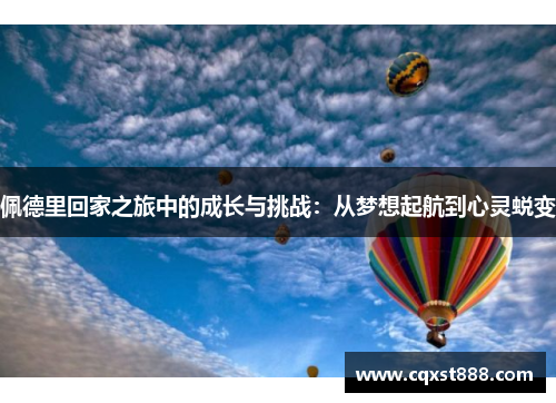 佩德里回家之旅中的成长与挑战：从梦想起航到心灵蜕变