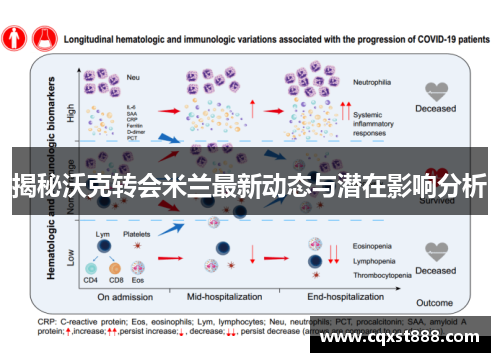 揭秘沃克转会米兰最新动态与潜在影响分析