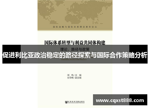 促进利比亚政治稳定的路径探索与国际合作策略分析