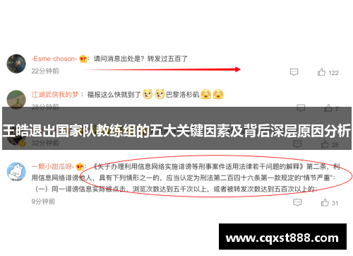 王皓退出国家队教练组的五大关键因素及背后深层原因分析