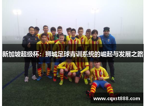 新加坡超级杯：狮城足球青训系统的崛起与发展之路